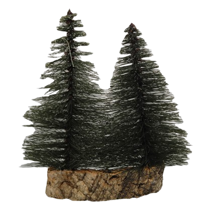 Alberi di pino per Presepe