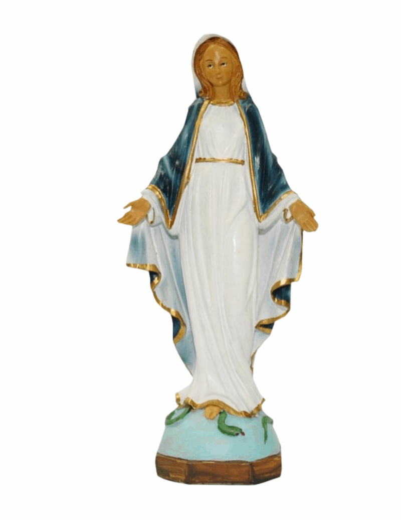 Statua Madonna Immacolata 25 cm.